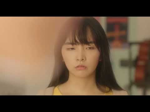 FFF 2022   Trailer   "Digital Video Editing with Adobe Premiere Pro: The Real World Guide to Set Up"