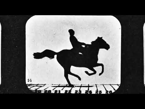 Official Trailer (AU) [Subtitled]