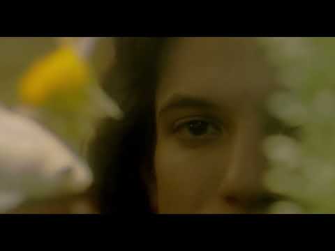 Relámpago, Trueno, Lluvia, Silencio/ Silence After Storm