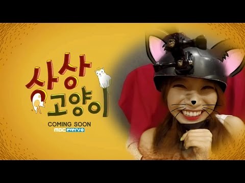 MAMAMOO (마마무) Solar - 상상고양이... ( ͡° ͜ʖ ͡°)