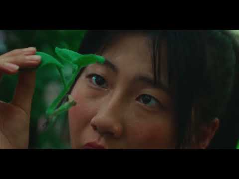 Roots That Reach Toward The Sky Trailer