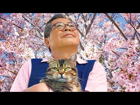 Island of Cats - Official Trailer