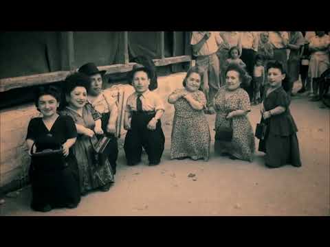 Warwick Davis and the Seven Dwarfs of Auschwitz - Trailer