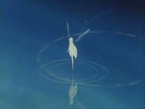 Trailer for Legend of Sirius (1981)