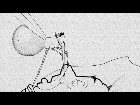 How a Mosquito Operates (1912) Winsor McCay