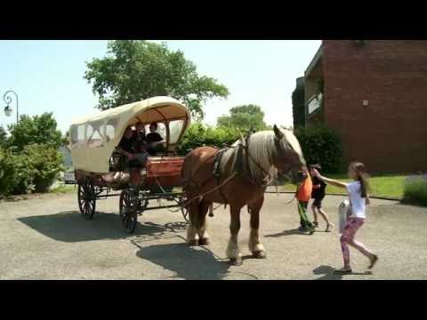 "Qu'est-ce qu'on attend ?" Bande-annonce VF (2016)