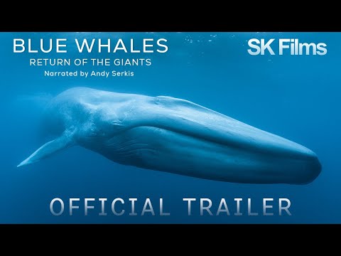 Blue Whales - Return of the Giants | Official Trailer 4K | SK Films