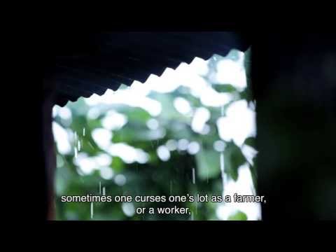 QUIJOTE Trailer Oficial