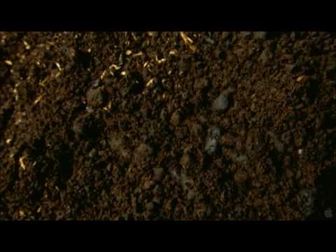 Beetle Queen Conquers Tokyo - Official Movie Trailer 2010 [HD]