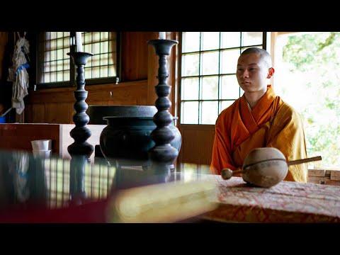 The Atomic Tree | TRAILER