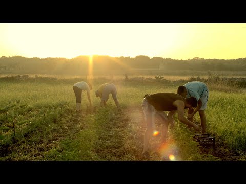 La restanza (2021) – Bande d’annonce VOSTFR