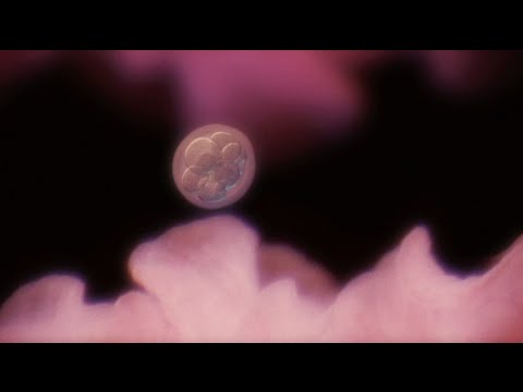 IN UTERO Official Trailer