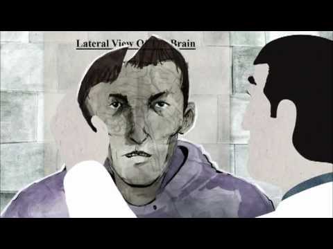 Animation | Biography | Drama: The Path to Beyond (2011) Crulic (original title) Director: A.Damian