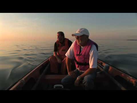 Trailer - Underkastelsen Stefan Jarls nya dokumentärfilm.