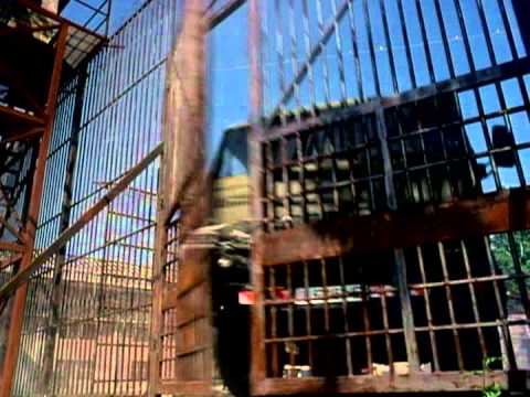 Target of Opportunity - Trailer