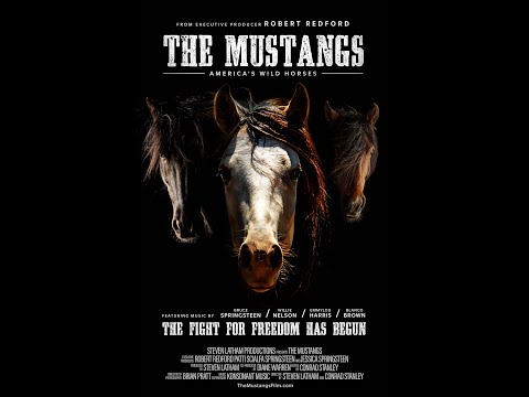 The Mustangs: America's Wild Horses | Official Trailer (2024)