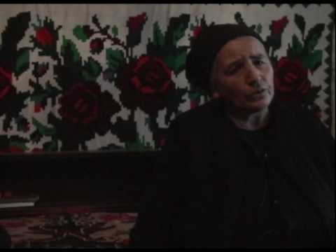 Across the Forest Trailer