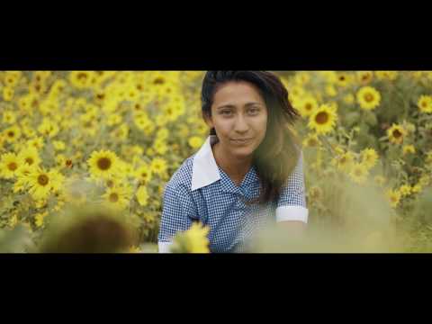 Dreams of Paper & Ink | Official Trailer | HD