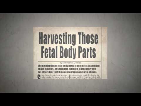 Baby Part for Sale ( partial birth abortion )