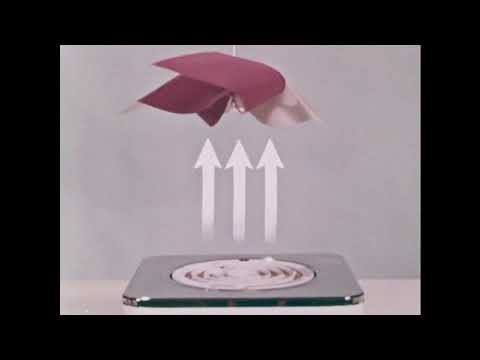 Wind And What It Does (1963)