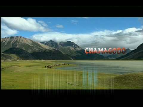 Chamagodo - Asian Corridor In Heaven