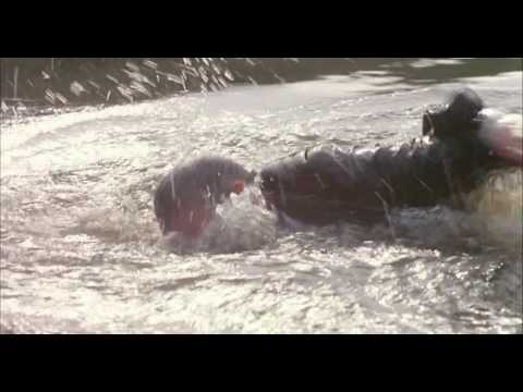 My Nights Are More Beautiful Than Your Days 1989