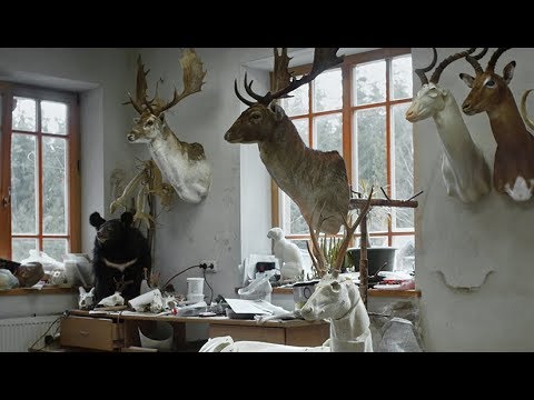 Animus Animalis (Istorija Apie Žmones, Žvėris Ir Daiktus) 2019