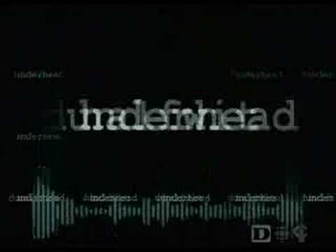 stupidity Prt 1 of 6