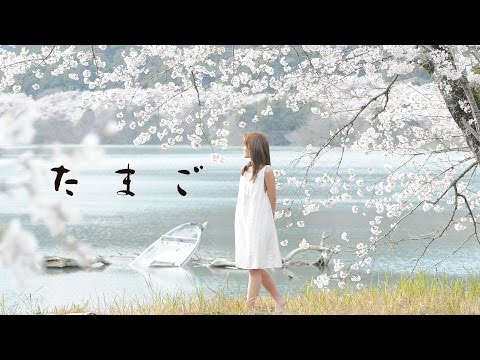 Movie Trailer "TAMAGO" by Director Koji Hirano : 映画「たまご」予告編トレーラー　平野功二監督作品