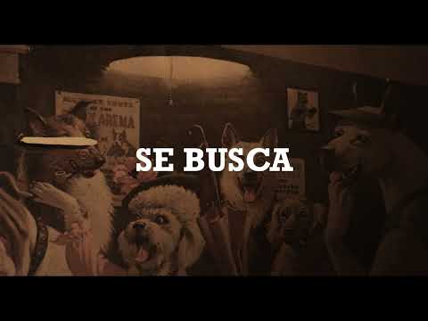 Se Busca / Wanted