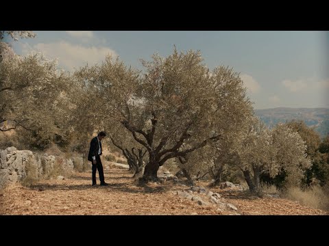 The Trees – trailer | IFFR 2021