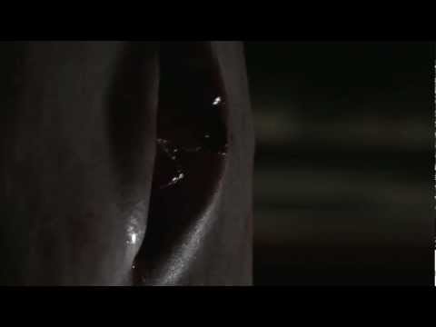 Haunted DollHouse Trailer 2013