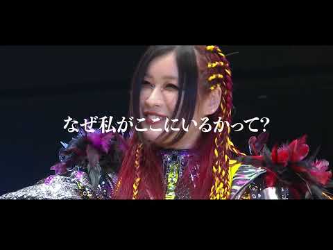 [Preview of the tournament opening] Marigold's October 26th Ryogoku tournament will be broadcast ...