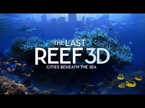 The Last Reef