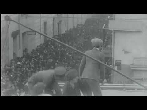 Tráiler "El sonido de los grillos" - Estreno en MIDBO 2022