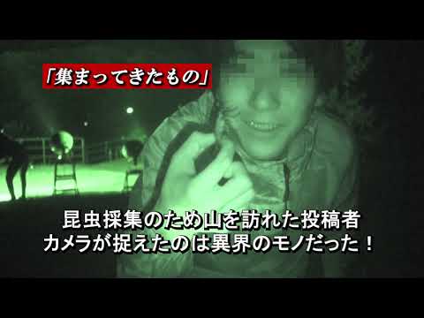 「封印映像63 廃旅館の遺物」予告編