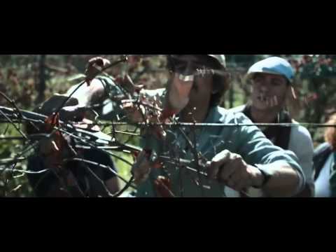 La nostra terra - Trailer