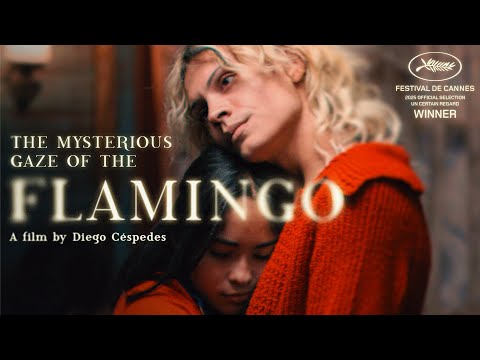 The Mysterious Gaze of the Flamingo - Trailer
