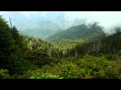 Sacred Mountain of the Smokies -  Introduction to Mt Le Conte