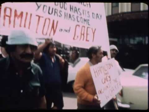 WILDCAT - trailer.  Vanguard Films NZ