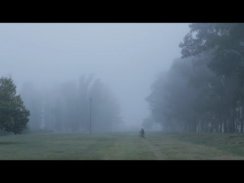 TRAILER TRAS UN MANTO DE NEBLINAS