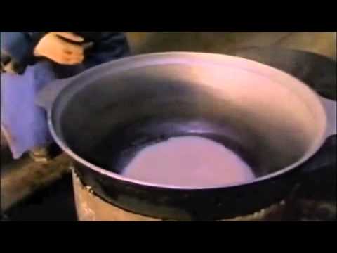 State Of Dogs - Trailer