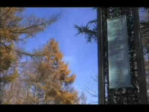 虹色の硝子 預告篇