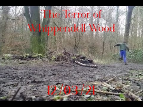 The Terror of Whippendell Wood (2021)