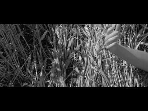 Kärlekens Krigare Trailer (SE) | Upright Music