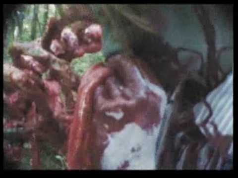 Zombie Cult Massacre...Trailer