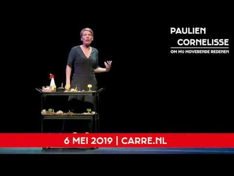 Paulien Cornelisse - Om mij moverende redenen