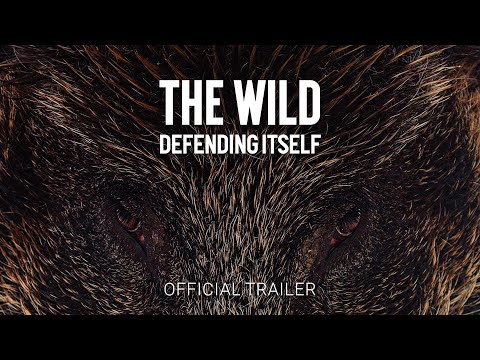 The Wild Defending Itself | Official Trailer