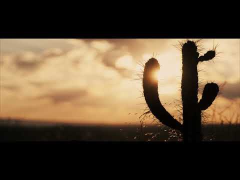 Puscifer "Existential Reckoning: Live at Arcosanti" Trailer