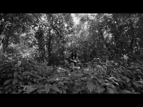 ANG PAGHILAK SA KALASANGAN (WHERE GREEN TURNS TO GRIEF)